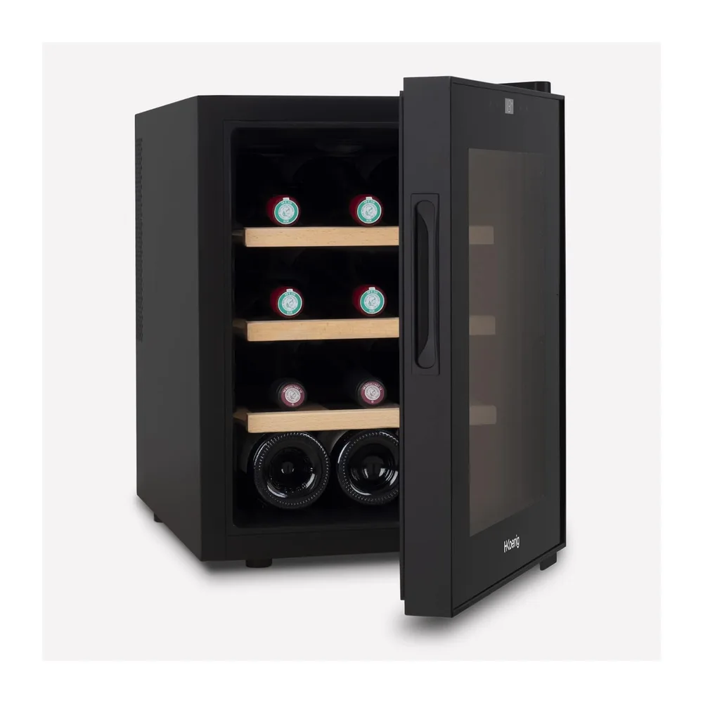H.Koenig Vinoteca 12 Botellas AGE12, 31 L, Profesional Acero Inoxidable, Refrigerante, Termoeléctrica, — 3