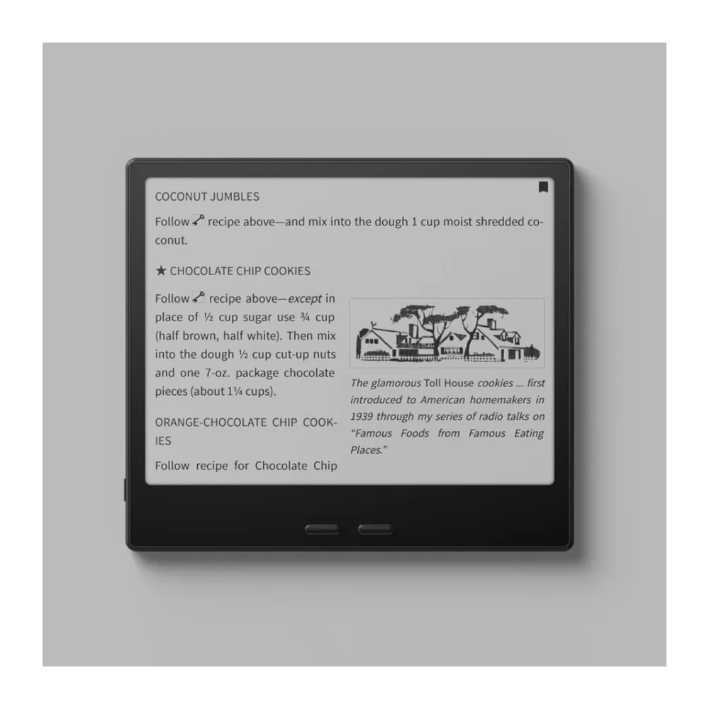 BOOX Go 7 ePaper Tablet 7” B/N 64 GB 300 ppi Android 13 Luz Frontal BT WiFi (Negro) — 4