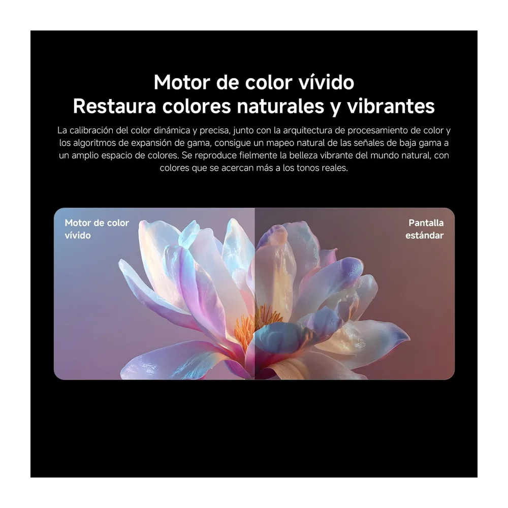XIAOMI TV FX Mini LED de 43 Pulgadas (101 cm) — 5