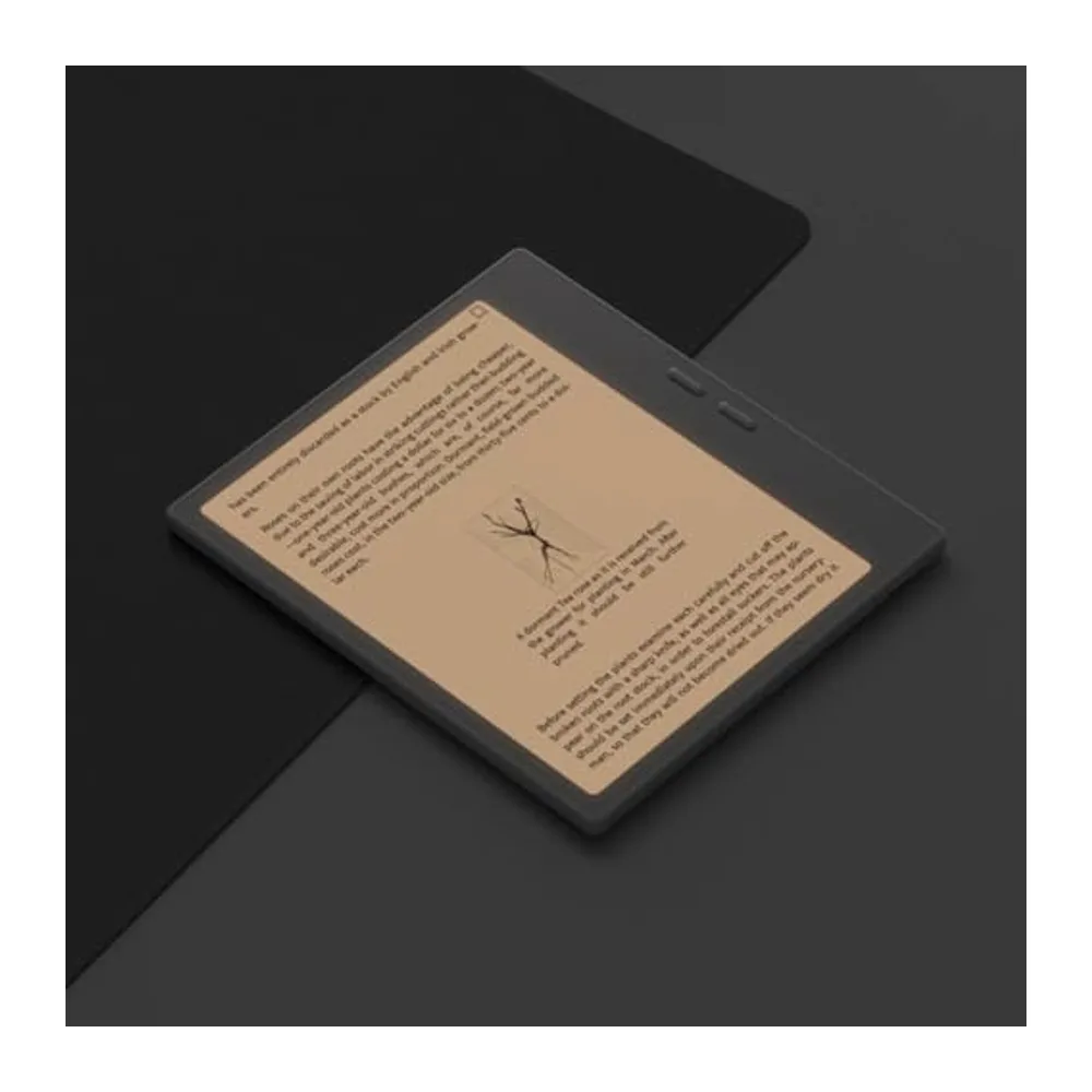 BOOX Tablet Go Color 7 (Gen 2) Tappy Lote Color ePaper 7” 64 GB HD Android 13 E-Ink LuZ Frontal — 2