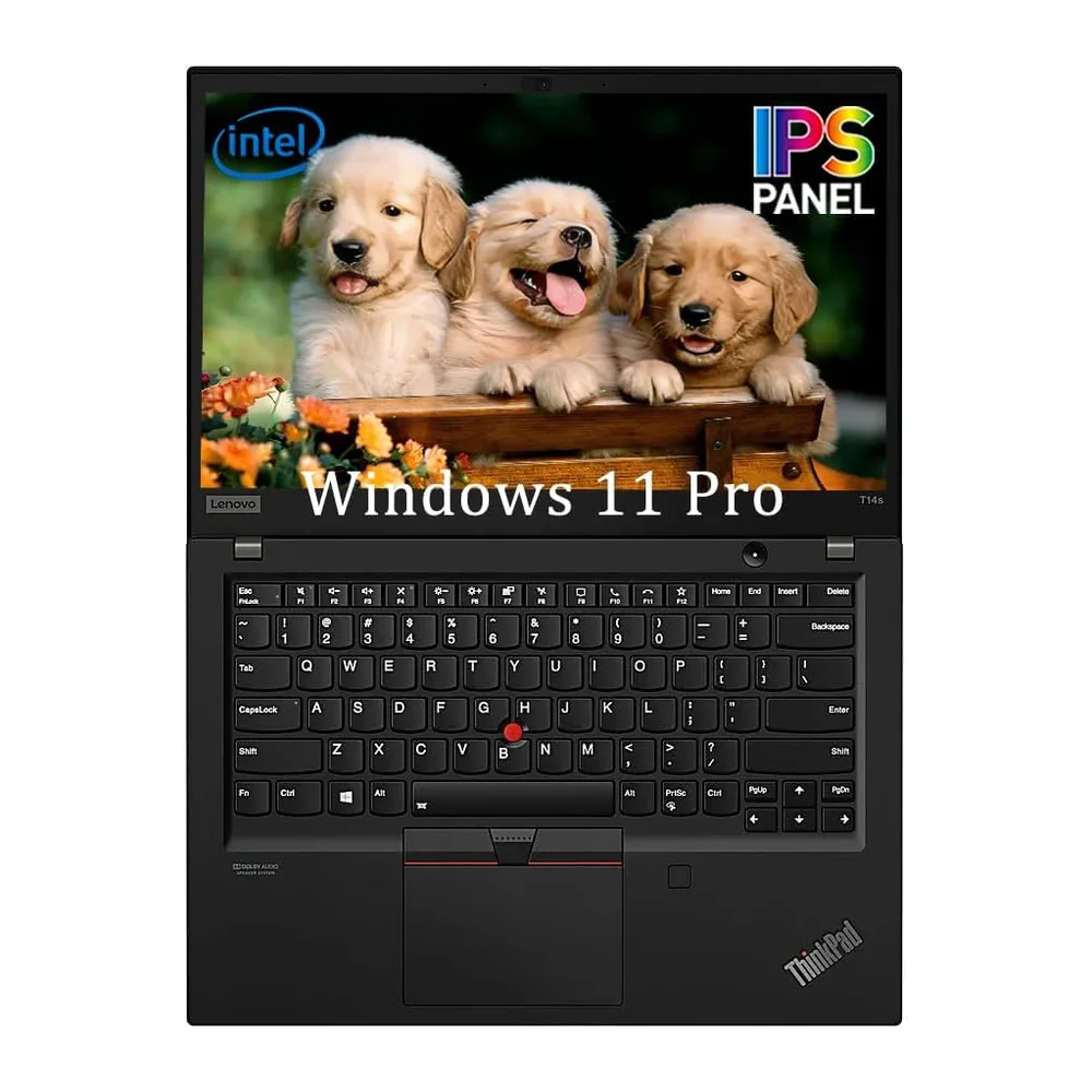 Lenovo ThinkPad T14s Gen 1 Business Laptop de 14 pulgadas FHD (1920 x 1080)